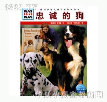 ���㌚ؐ���\�Ĺ�