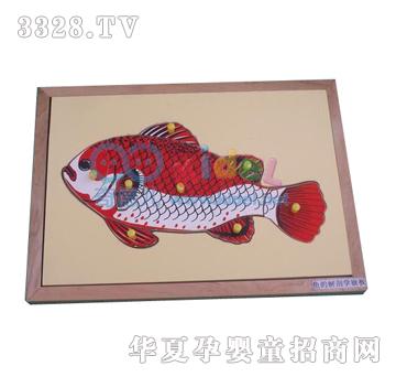 ����~Ƕ��