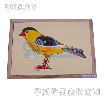 ����W�^Ƕ��