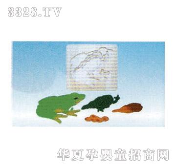 ���i�������Lʷ