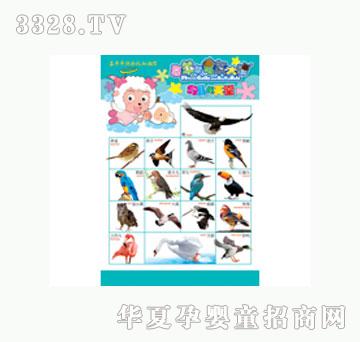 ���L���x���塤�B��������