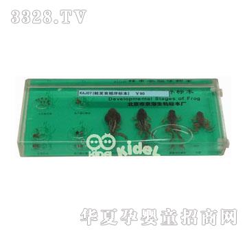 ����ܰl�����˱�