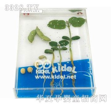 ��������Lʷ�˱�