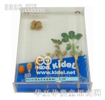 ����������Lʷ�˱�