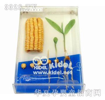 ����������Lʷ�˱�