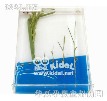 ���ˮ�����Lʷ�˱�