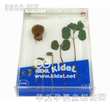 ����޻����Lʷ�˱�