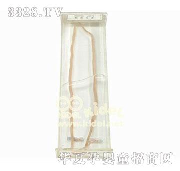 ������x�˱�