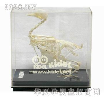 ����������˱�