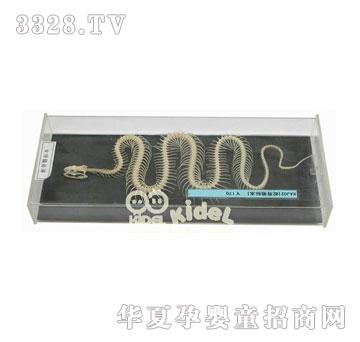 ����߹����˱�