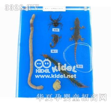 ������С����M��