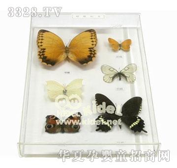 ��������˱�