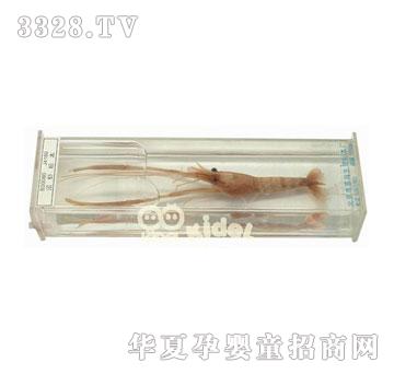 ������r�˱�