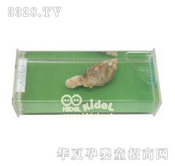 ���΁ţ�˱�