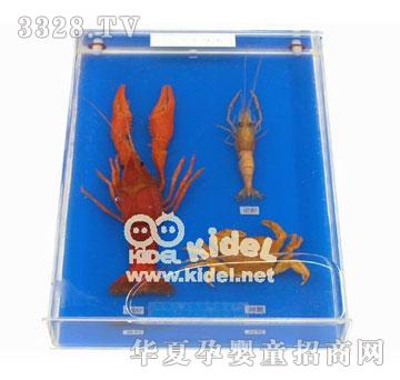 �����֫����M�ϣ���