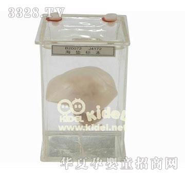 ������U�˱�