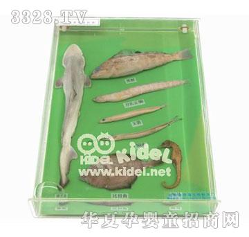 ��������~M��