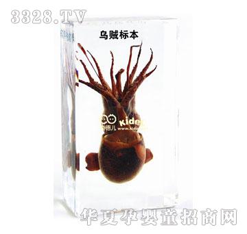 ������\�˱�