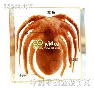 ������~�˱�