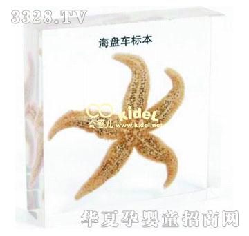 ������P܇�˱�