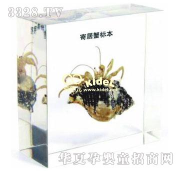 ����ľ�з�˱�