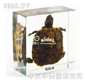 ������˱�