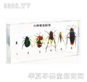 ������N���x�˱�