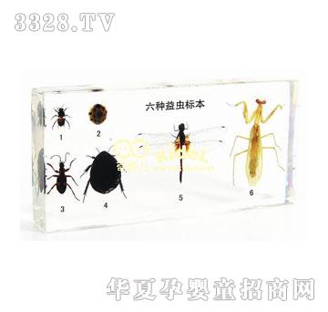 ������N���x�˱������ˣ�