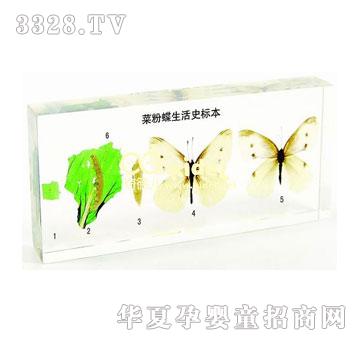 ����˷۵�����ʷ�����ˣ�