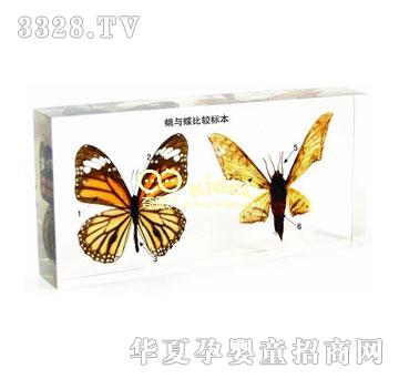 ������c�����^�˱������ˣ�