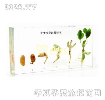 ��������lѿ�^�̘˱������ˣ�