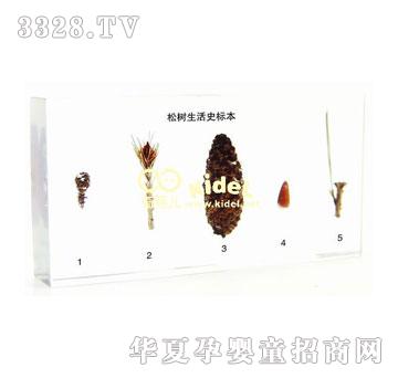 ����ɘ�����ʷ�˱������ˣ�