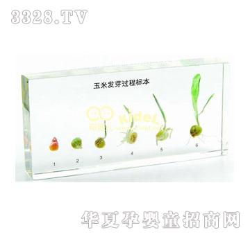 ������װlѿ�^�̘˱������ˣ�