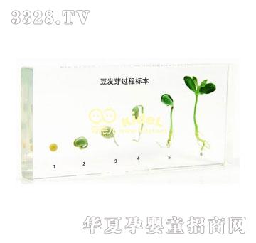 �����ѿ�lѿ�^�̘˱������ˣ�