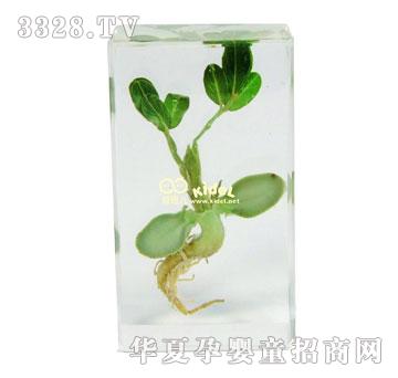 ��������lѿ�^��