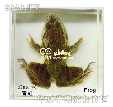 ����������b