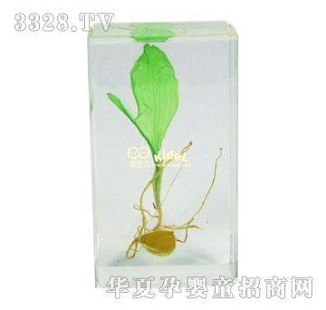 ������װlѿ�^��