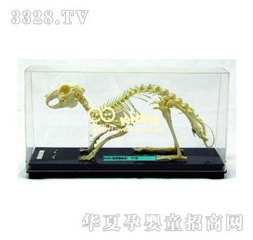 ����ù����˱�