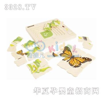 ����e��ƴ�D-����