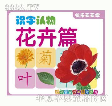 С�@���R(sh��)���J(r��n)�ﻨ��ƪ