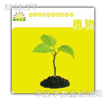 С̫��׃�ȫ�X�_�l(f��)����ϵ��-ֲ��