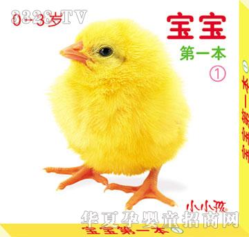 ��48�_������һ��