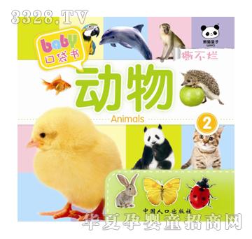 ��ʢ�ڴ�������