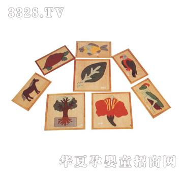 ����ͯ���BǶ��