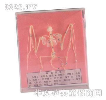 ����ͯ����������˱�