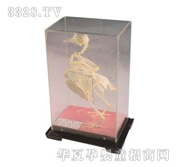 ����ͯ���������˱�