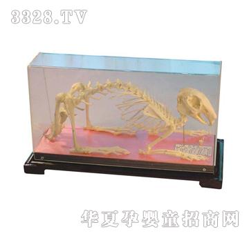 ����ͯ���ù����˱�