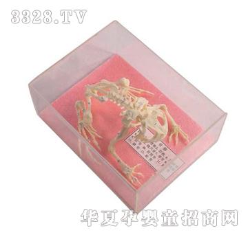 ����ͯ���ܹ����˱�