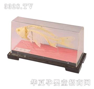 ����ͯ���~�����˱�