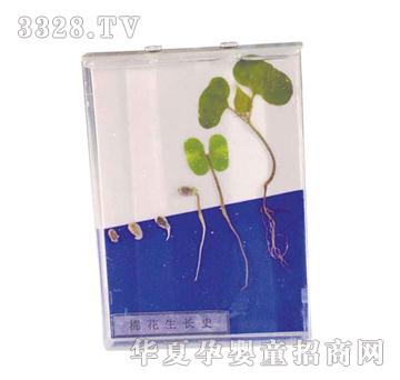 ����ͯ���޻����Lʷ�˱�